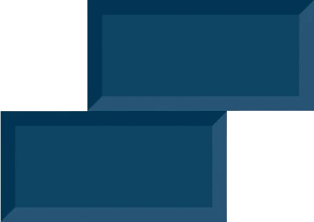TAMOE_BLUE-removebg-preview.png