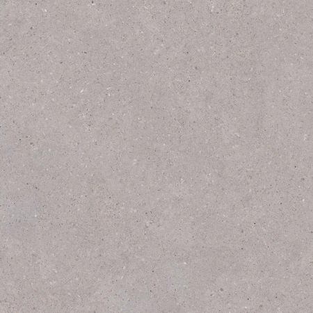 ARCHITEQ GRAIN LIGHT GREY MAT 119,8X119,8_T1 .webp