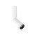 MAXLIGHT C0247 LAMPA SUFITOWA HALO B WHITE