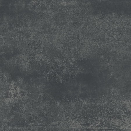 AMMONITE NERO_F3.jpg