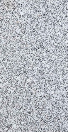 2a9a4e79e864e84d80489a4bd0dace52