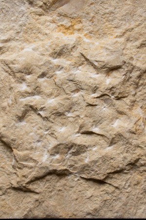 0d9ffda16852707efd8510cea2280c83