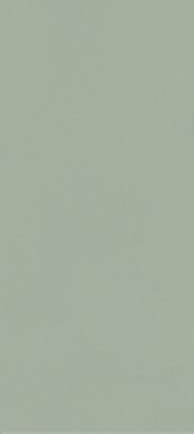 ceramika-paradyz-neve-creative-green-sciana-polysk.jpg
