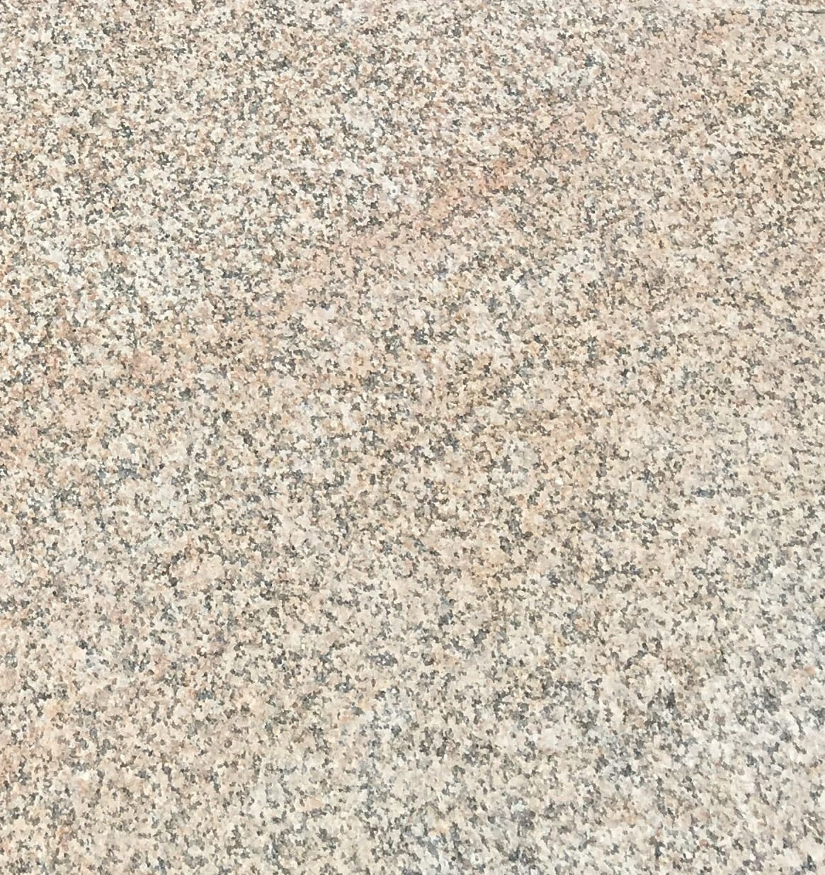 ec9046834e16dfe10d5e705d3d6cc9e8